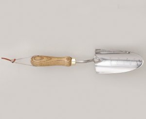 TROWEL