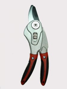 2 IN 1 BY-PASS PRUNING